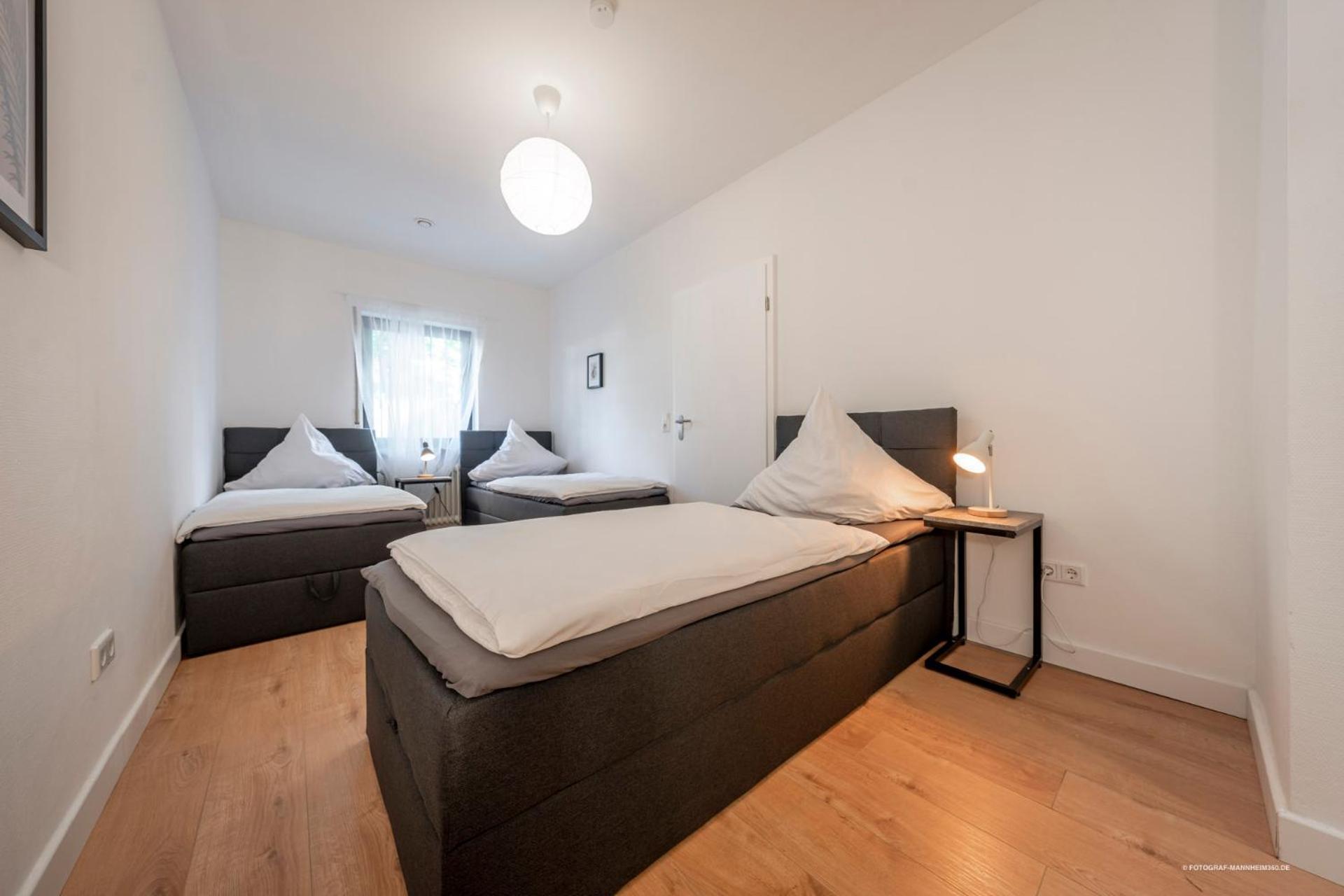 Xxl Design-Appartement Highdesign 10 Pers Zentral Naehe Heidelberg Und Mannheim ヴァインハイム エクステリア 写真