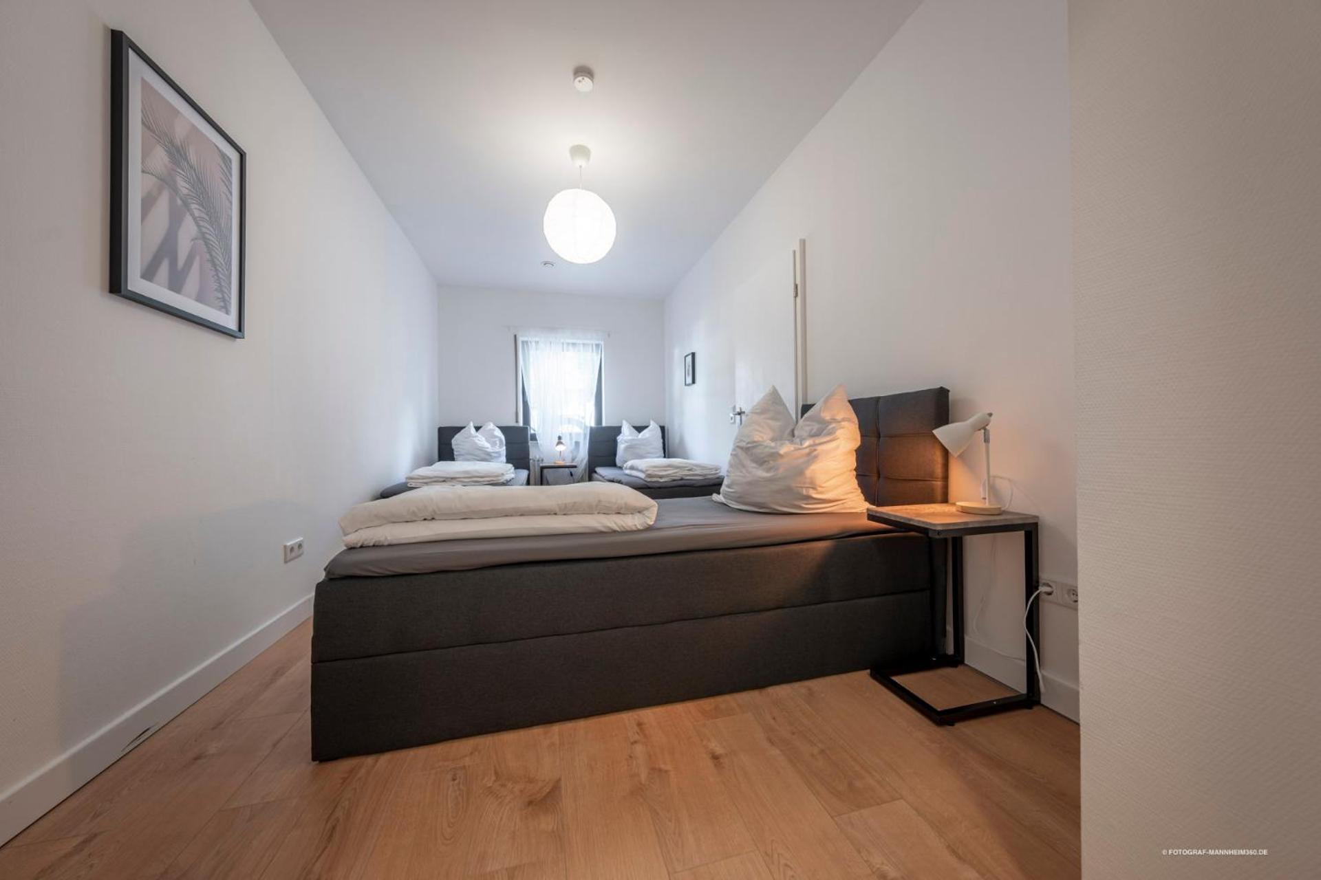 Xxl Design-Appartement Highdesign 10 Pers Zentral Naehe Heidelberg Und Mannheim ヴァインハイム エクステリア 写真